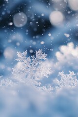 Winter Backdrop Paper