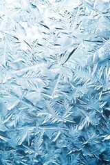 Winter Backdrop Paper