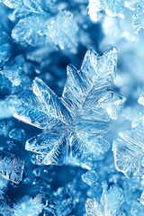 Winter Backdrop Paper