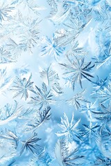 Winter Backdrop Paper