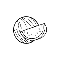 illustration of an water melon