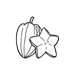 hand drawn illustration of an star fruit