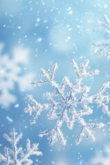 Winter Backdrop Paper