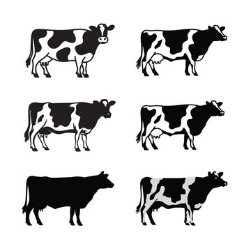 Vector Silhouette  Of  Frisian  Milk Giving Cow