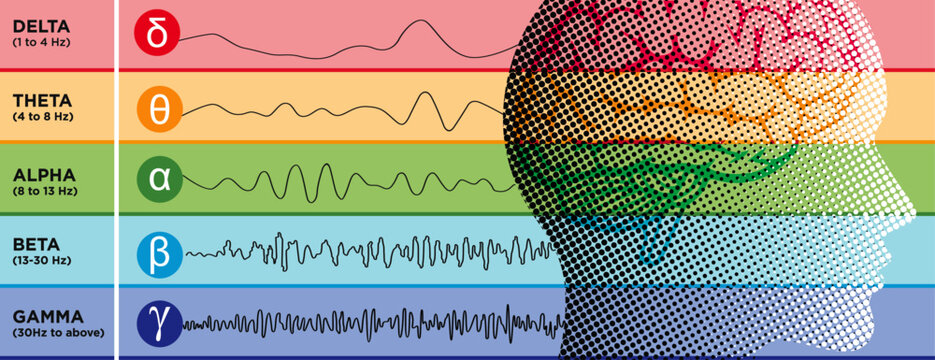 An illustration showcasing various types of waveforms generated by brain activity. human brainwave patterns, a visually representation of neurological rhythms.