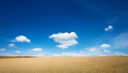 Obraz premium blue sky in summer season light blue sky wiht out cloud clearly blue sky