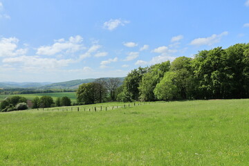 Blick auf die Frühlingshafte Naturlandschaft der Stadt Balve im Sauerland	