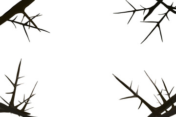 several thorn branches that form a frame without a background