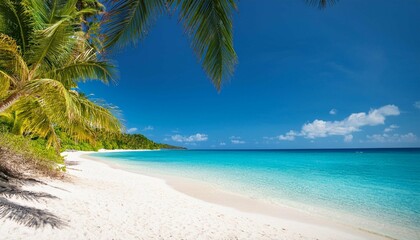 Fototapeta premium summer natural landscape tropical beach with sea blue sky and palm trees and white sand