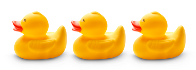 Yellow ducks toy isolated on white