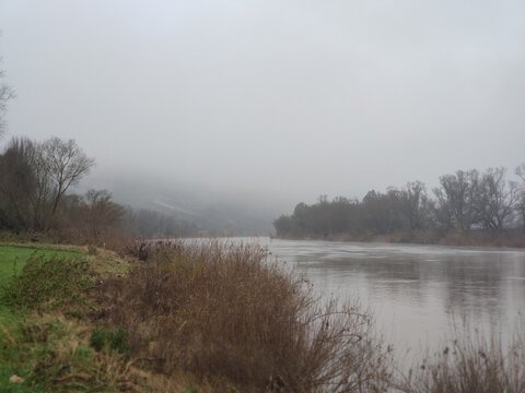 misty morning on the river