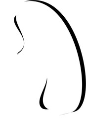 silhouette of a cat