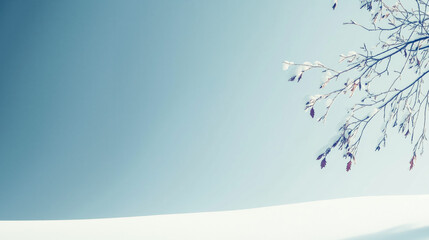  Minimalist winter scene with snow-covered branches against clear blue sky, delicate texture, wide-angle, natural light, static comp, white space, pure tone, high def