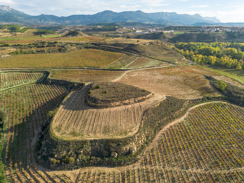 An expansive view of natural terrain accompanied by strategically cultivated vineyards, showcasing the harmonious balance between human agriculture and nature in La Rioja Spain