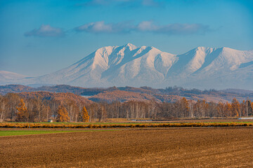 Obraz premium 北海道の雪化粧の旭岳と紅葉/Snow-capped Mount Asahidake and autumn leaves in Hokkaido