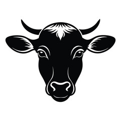 black and white cow