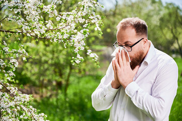 Man allergic suffering from seasonal allergy at spring in blossoming garden at springtime. Young man sneezing and blowing nose with nasal handkerchief in front of blooming tree. Spring allergy concept