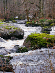 Landscape photography of a beautiful stream in the middle of the Swedish forest. 