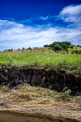 Soil erosion at drop off into a creek showing exposed roots and dirt along the water edge.