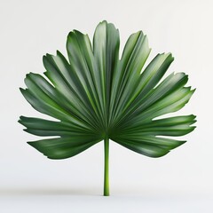 Fototapeta premium A vibrant green leaf with intricate textures showcasing its unique shape and natural beauty against a light background.