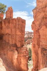 Rock formations  in Bryce Canyon National Park, Utah, USA