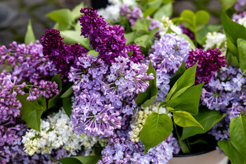 Obraz premium Spring lilac in a bouquet
