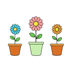 flowers in pots