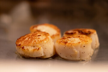 Deliciously seared scallops on hot pan.