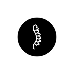 Spine icon Flat vector set outline