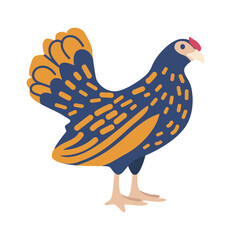 Domestic egg-laying hen vector illustration