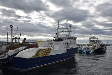 Naklejka premium Quais du port de Sète en automne. France