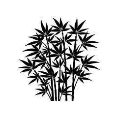 bamboo silhouette, black and white silhouette, vector and illustration