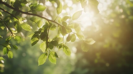 Obraz premium A branch heavy with fresh green leaves, each leaf catching the gentle morning light, adding a soft, natural glow to the scene