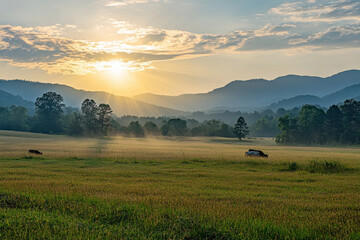 Naklejka premium Serene sunrise over a misty field with mountains in the background.