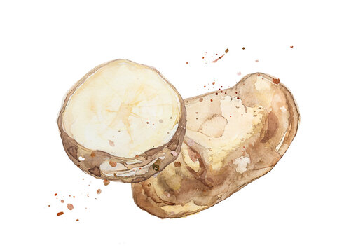 recommend clip art: Watercolor potato chips clipart isolated on a white background. Hand painted vegetable snack illustration. Fast food menu.	
