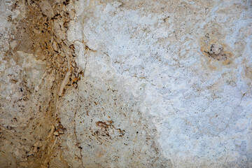 Random, Unique, Natural Cannstatter Travertine Texture - Freshwater Limestone Background