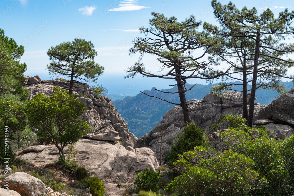 Wall mural Felslandschaft mit Kiefern, Parc Naturel Regional de Corse