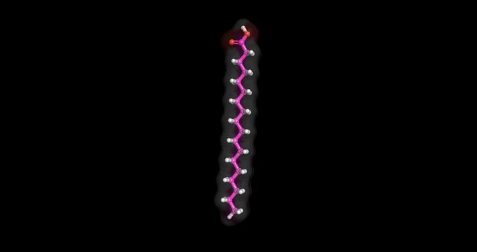  Stearic Acid , neutraceutical, 3D molecule spinning, 4k