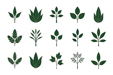 set of green leaves