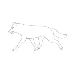 Isolated black outline cartoon running wolf on white background. Side view line wolf. Curve lines. Page of coloring book