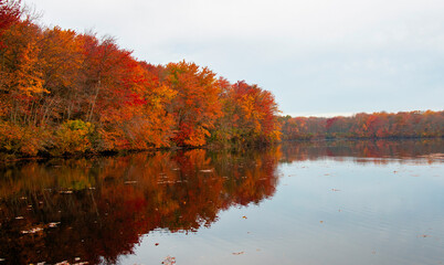 Vibrant Autumn Colors Reflect on Calm Lake Surface During Early Morning Hours