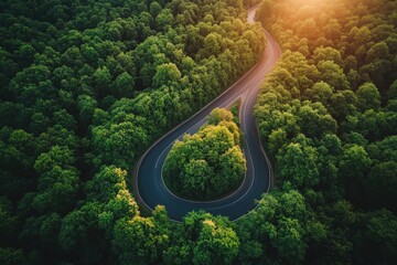 winding road through lush green forest at sunset