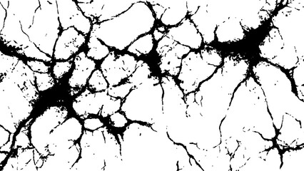Cracked white surface texture.  Black and white cracked texture, Abstract fracture design. Crack texture lines isolated on white background.