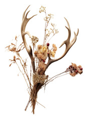 Fototapeta premium PNG Antlers flower plant decoration.