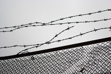 torn barbed wire on an iron fence with a mesh, gray sky in the background