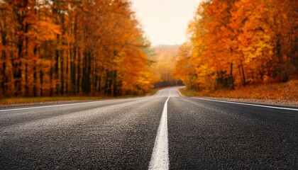 Fototapeta premium banner 3 1 empty asphalt road in autumn fall forest autumnal background selective focus