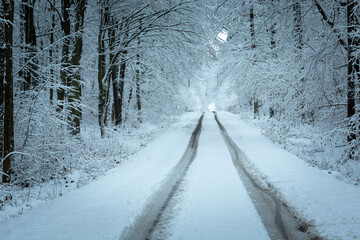 Fototapeta premium Snowy road in the forest