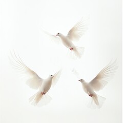 Obraz premium Three White Doves in Flight