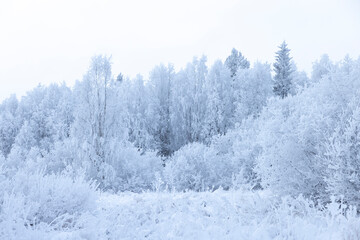 Raureif in einer verschneiten winterlichen Landschaft mit Bäumen