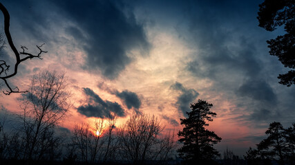 Dramatic sky with silhouetted trees at sunset.
